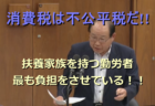 消費税の闇を衆議院議員が暴露、消費税は社会保障費の財源というのは嘘だ。